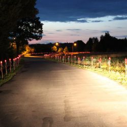 Nawiedzenie obrazu Jezusa Miłosiernego oraz relikwii św. s. Faustyny Kowalskiej i bł. Jana Pawła II