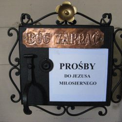 Nawiedzenie obrazu Jezusa Miłosiernego oraz relikwii św. s. Faustyny Kowalskiej i bł. Jana Pawła II