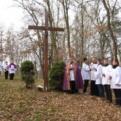 Poświęcenie obelisków na starych cmentarzach