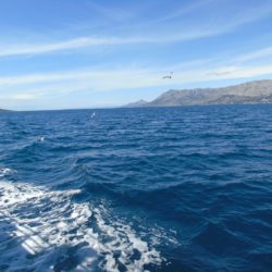 Pielgrzymka do Medjugorie